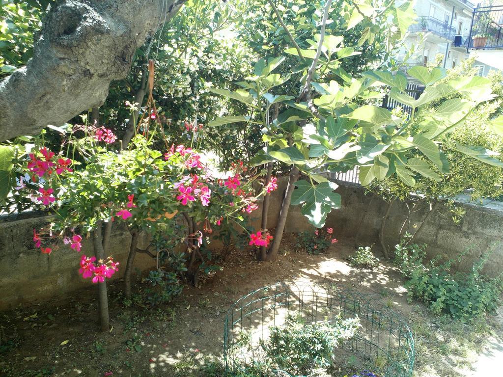 B&B A Casa Di Nonna フォンディ エクステリア 写真